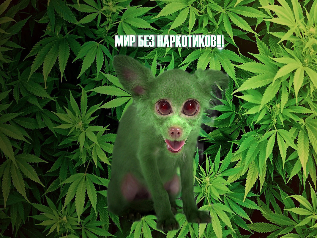 изображение_2024-09-21_171039766