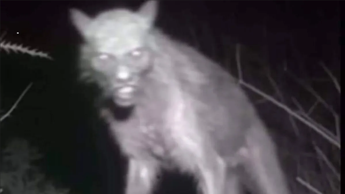 Captan a un supuesto nahual en un rancho de Oaxaca