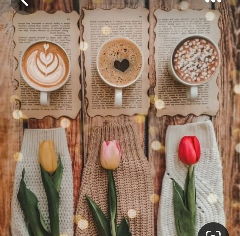 Screenshot_20230511_233031_Pinterest