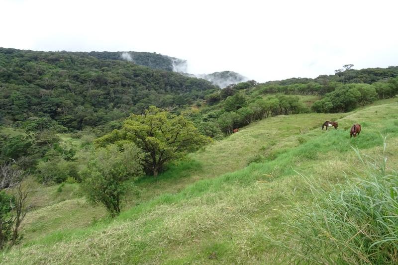 Día 11. La Fortuna - Monteverde - 3 semanas Costa Rica en autobús 2018 Oct (7)