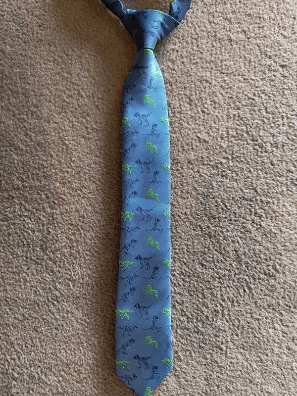 Blue Dinosaur Tie
