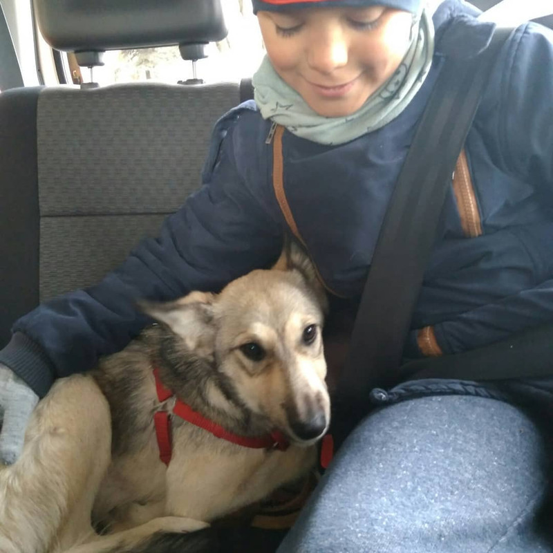 DD26E290-94E1-4C1F-AE33-AD2E00195D18