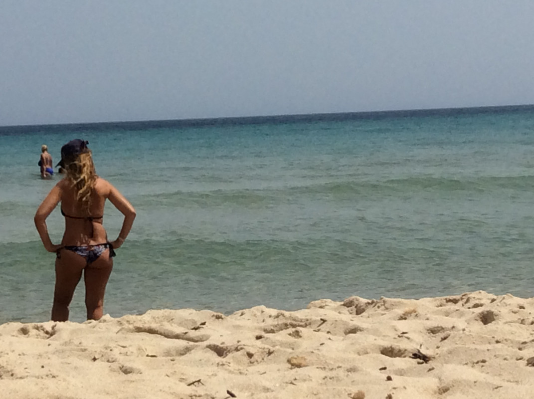 95E77CB7-BDE0-4509-9D79-4517A28DB17E