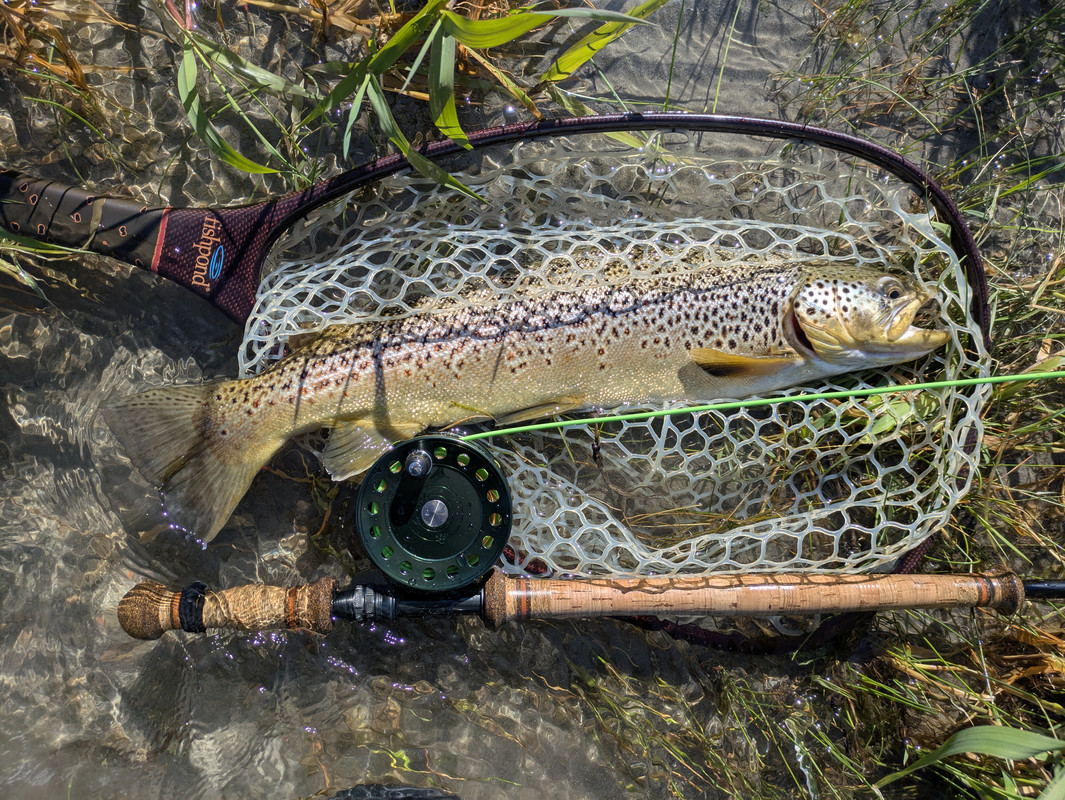 PXL-20250713-165956513-RAW-01-MP-COVER.j