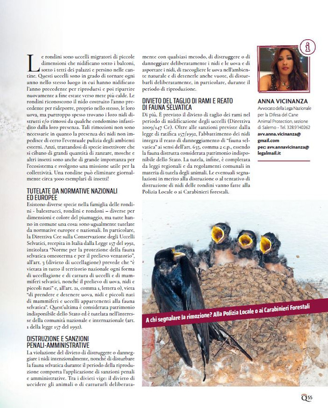 QuattroZampe Apr 2023 (8)