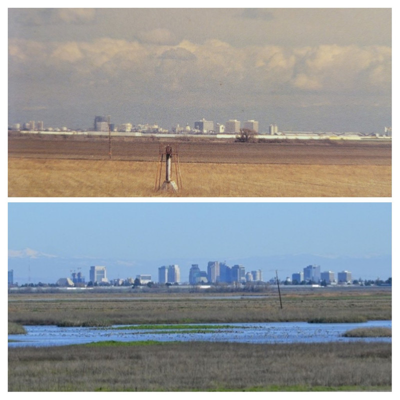 20220119_134028-COLLAGE