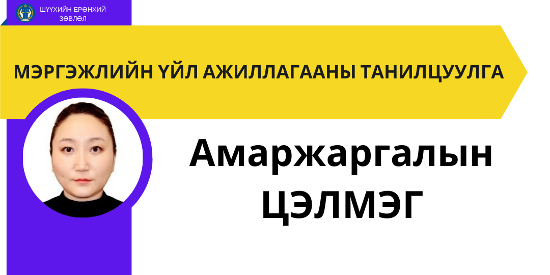 А.Цэлмэгийн мэргэжлийн үйл ажиллагааны танилцуулга