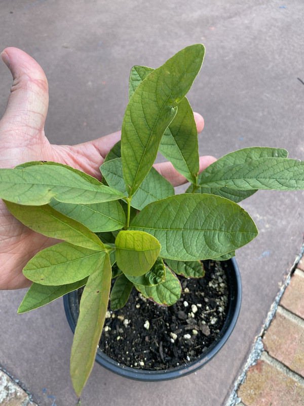 AF05E400-C1A6-41F8-A25D-3113C2273364