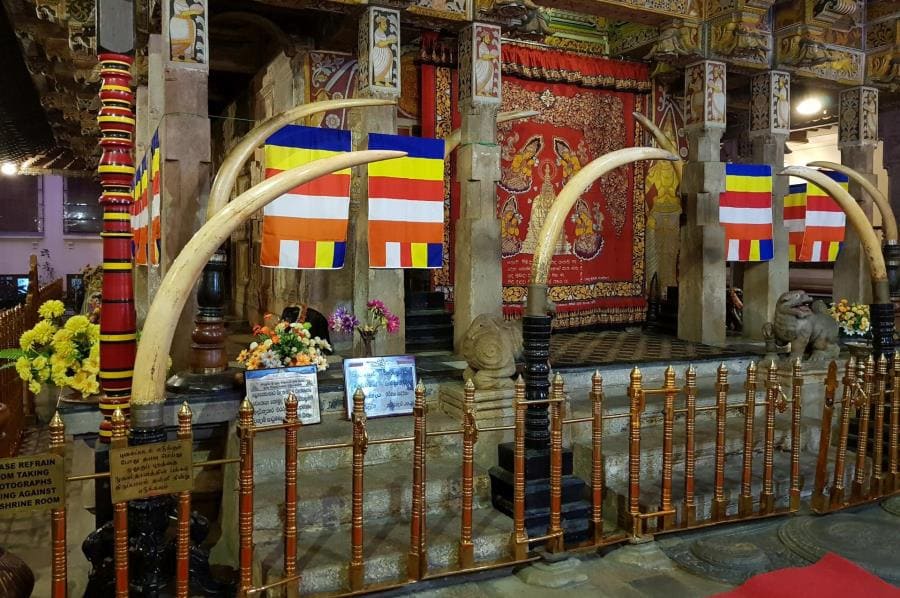 Тайны священного Зуба Будды - удивительные факты о реликвии Канди Тайны священного Зуба Будды - удивительные факты о реликвии Канди
