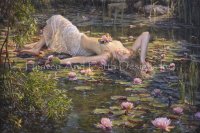 FOTOS HELENE BELAND Minis-mini-the-spirit-of-the-pondjpg.image.200x133