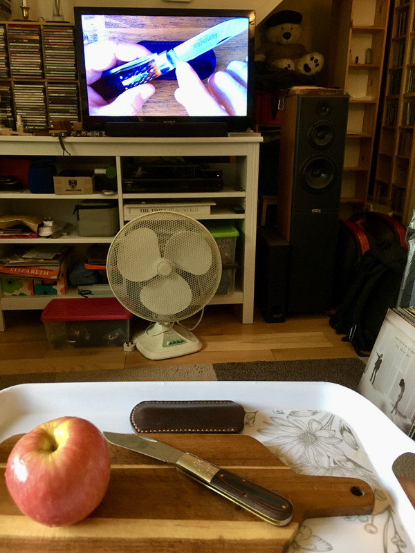 D3441A37-58E1-47B1-A4AE-4C8455ECDAD5