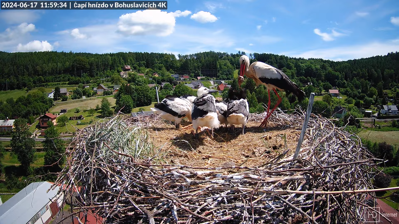 Tiešraidē no uzņēmuma KARA stārķa skursteņa Bohuslavicē pie Trutnovas 13-2-55 screenshot