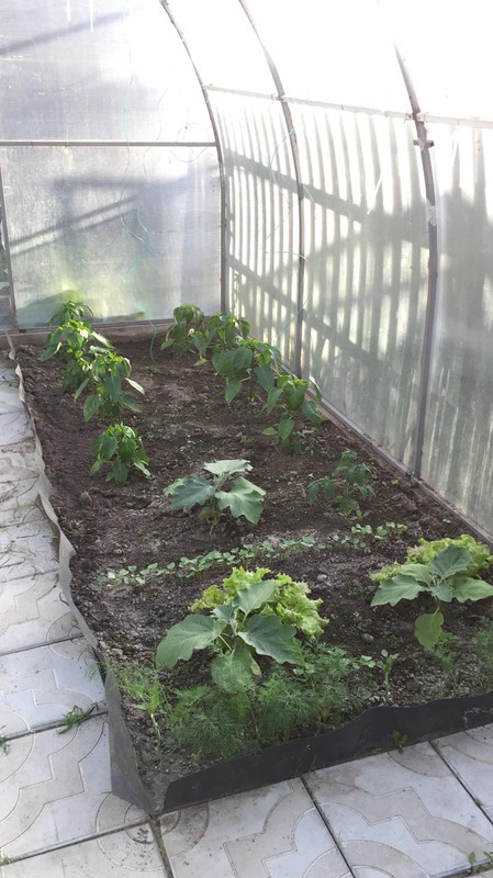 AF0A2275-0FE0-4A0A-8755-B3C4FB6BD8CE