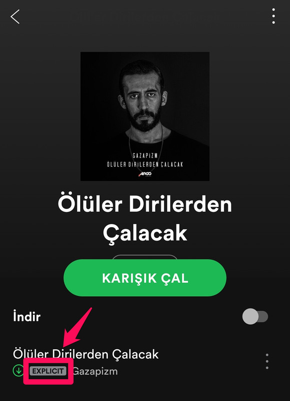 spotify explicit