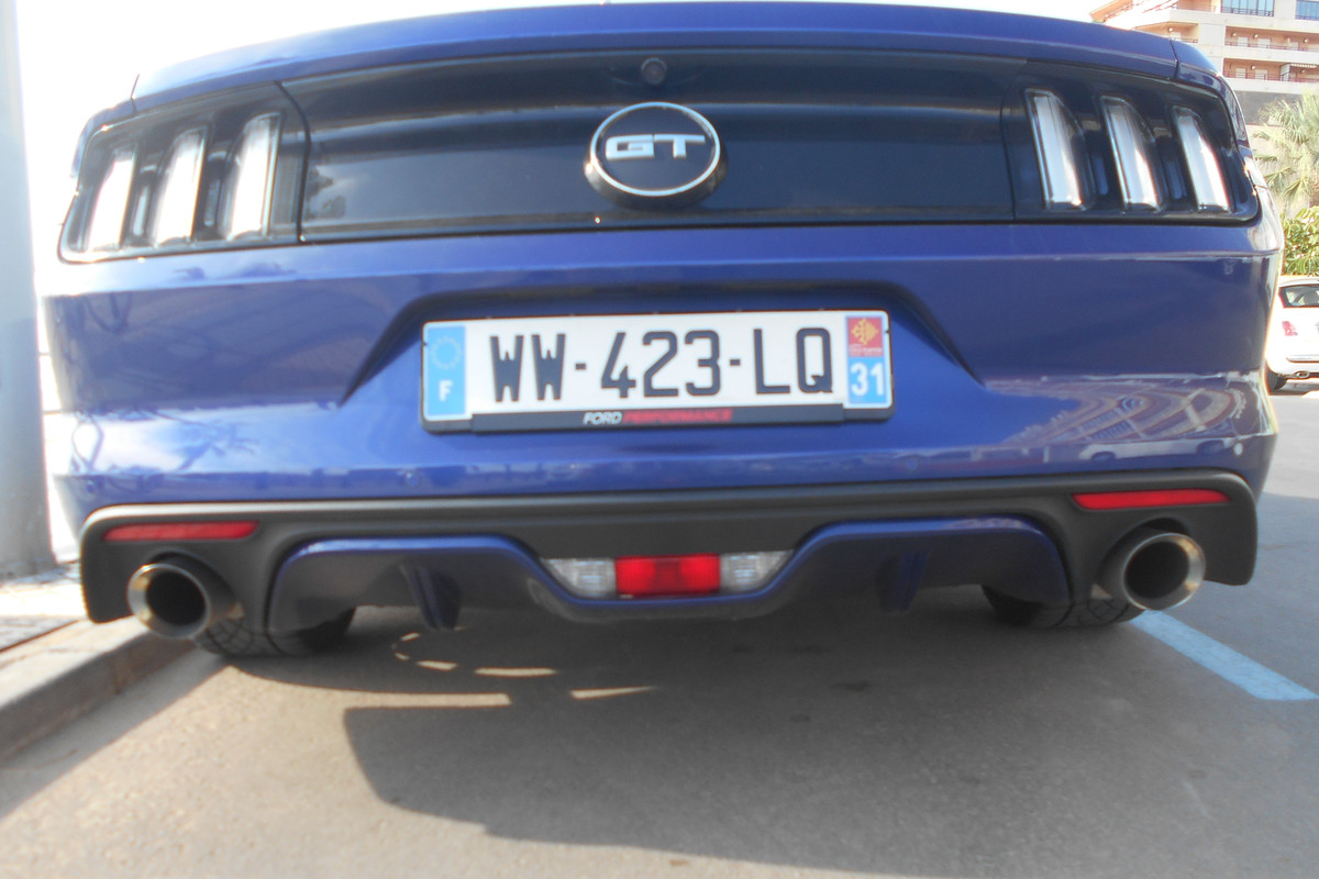 DSCN2393a.jpg