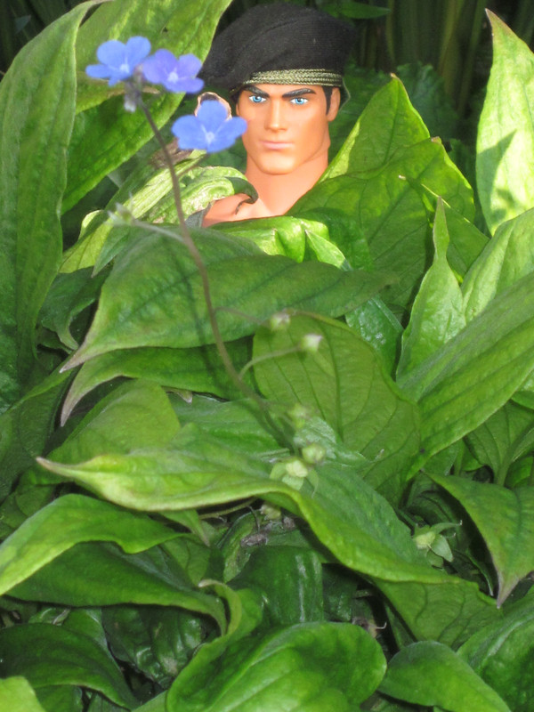 My Action Man posing in the garden    (Ackie88) IMG-0995