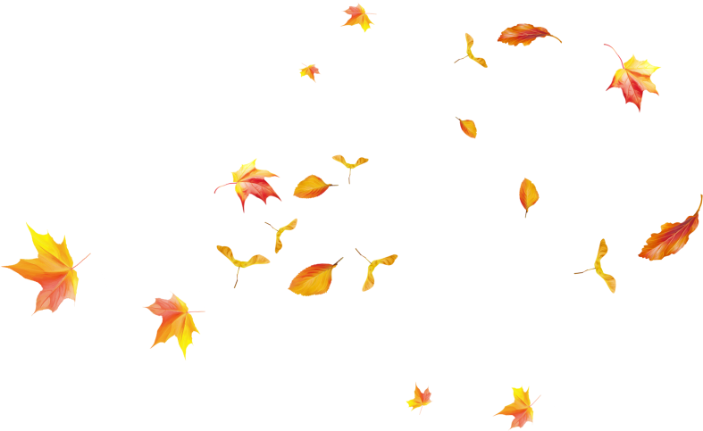 Pumpkinfairykitpudnspakles2