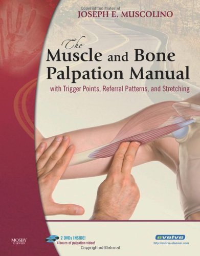 The Muscle and Bone Palpation Manual with Trigger Points, Referral Patterns and Stretching