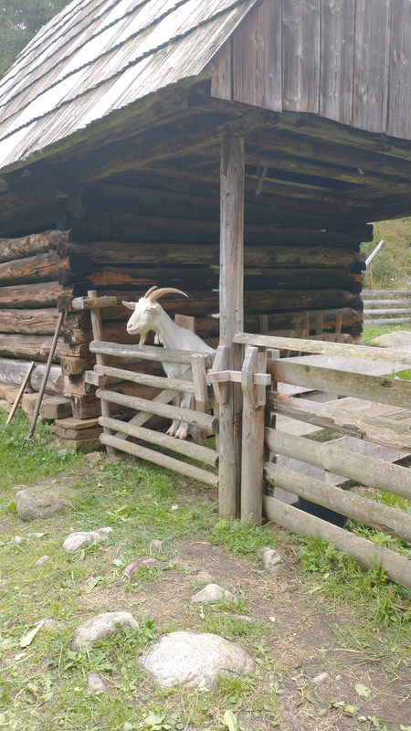 IMG_20230915_121318534