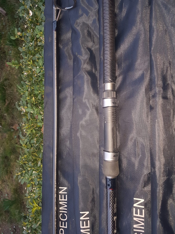 WhatsApp Image 2019-03-11 at 18.12.39(1)