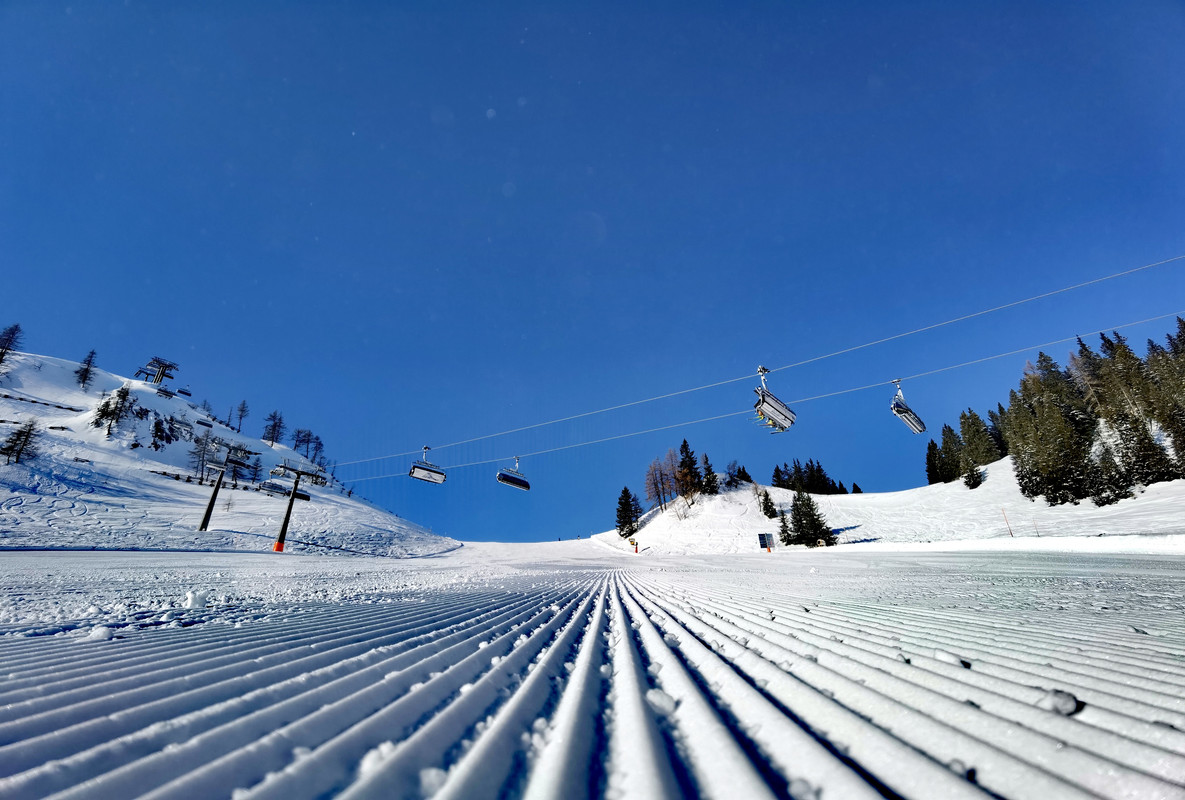 IMG_20220301_092839_1_edit_161674868177933