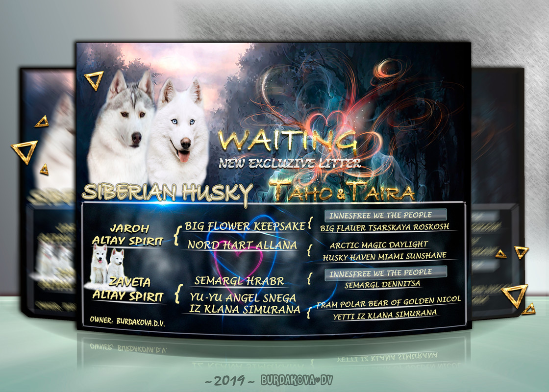 тахо тайра перед