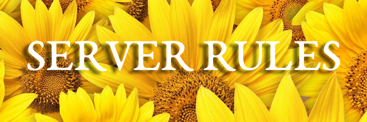 server rules banner
