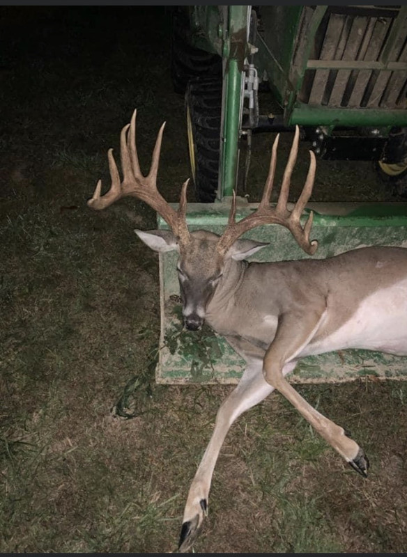 4E3D8E0F-F5F5-42DB-9B7C-F866B72061BA