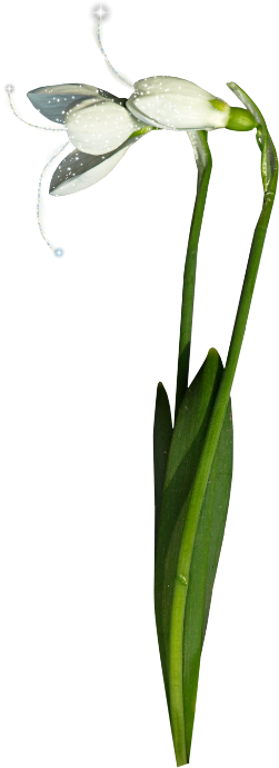 Into The Jungle (106)