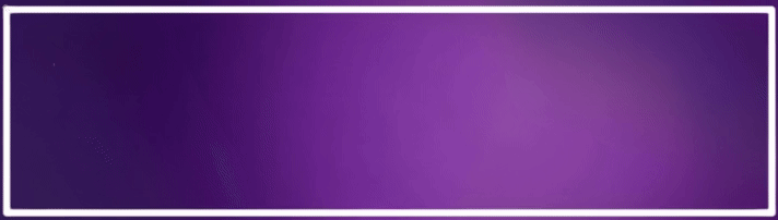 NETSTAT Logo Animat