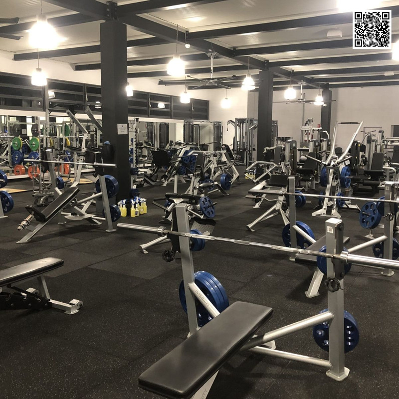 How To Score Premium Gym Equipment At Auction Prices