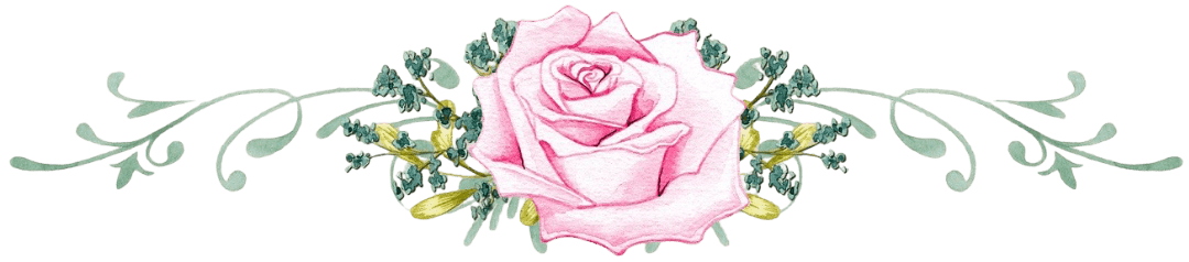 Pink Rose Border