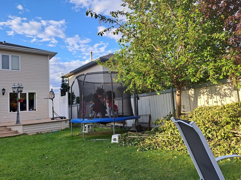 [Image: 20220721-201814-resized-20220724-095347016.jpg]