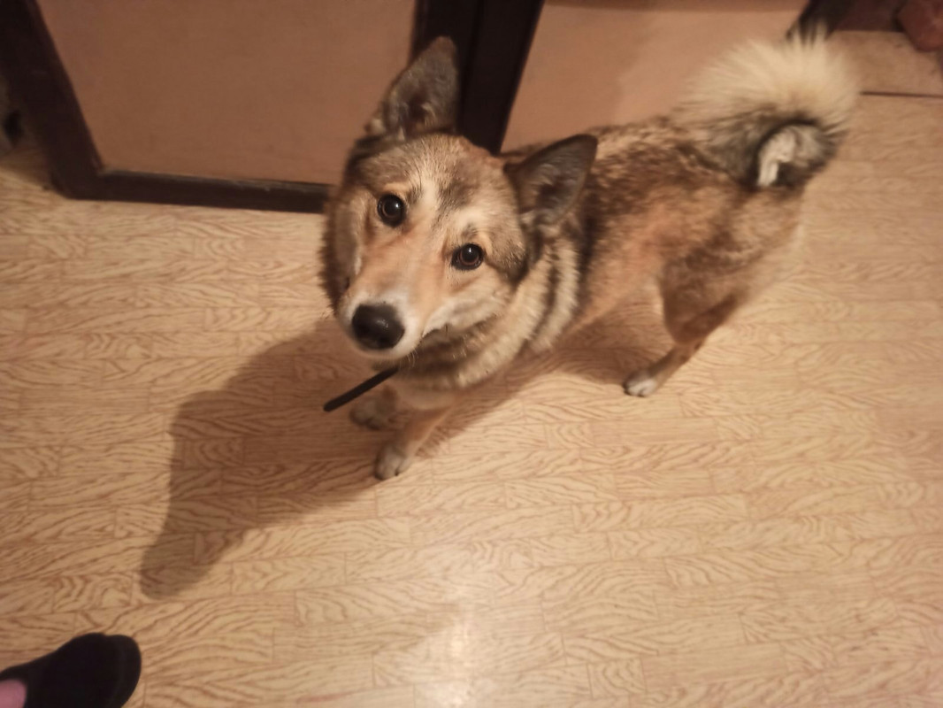 Lara looks up standing in the flat 2