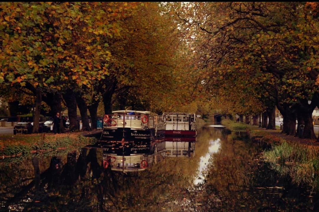 Screenshot_20231207_155717_Instagram