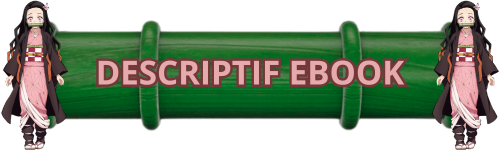 DESCRIPTIF.png