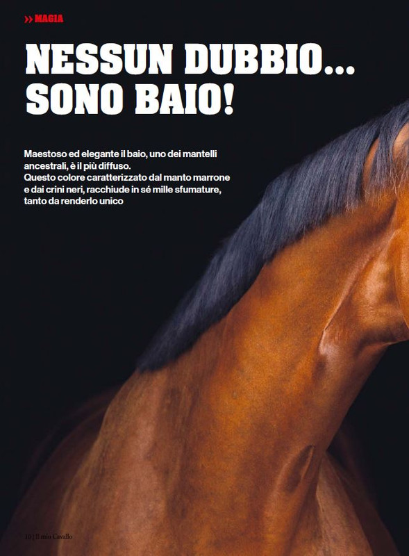 Il Mio Cav (Nov-Dic 2023) 1