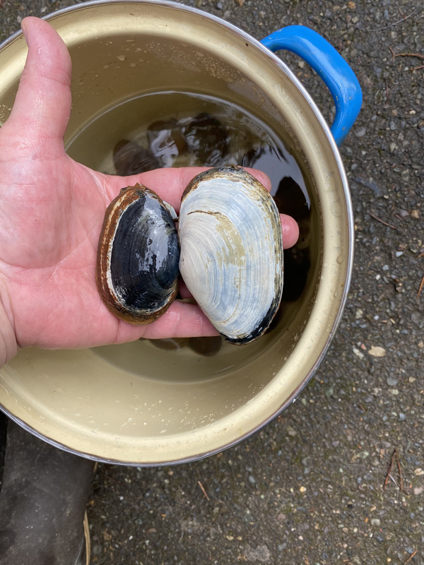 632F17C6-B453-412F-85BF-793BCE523B16