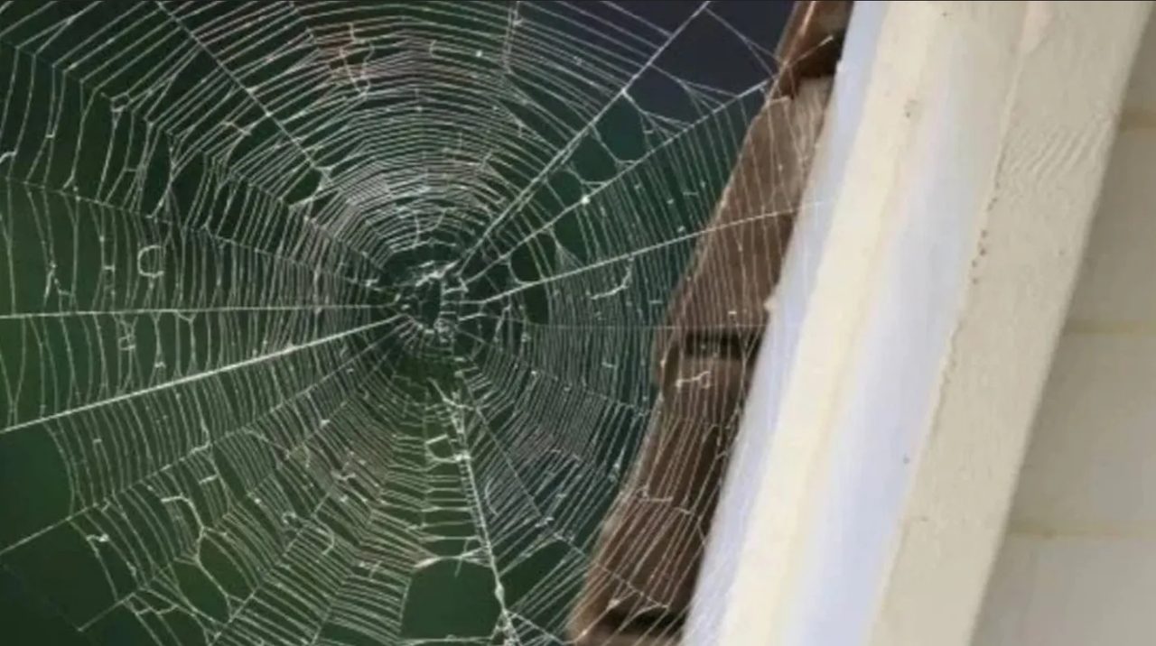 Elimina las telarañas de tu casa, aplicando estos trucos de limpieza