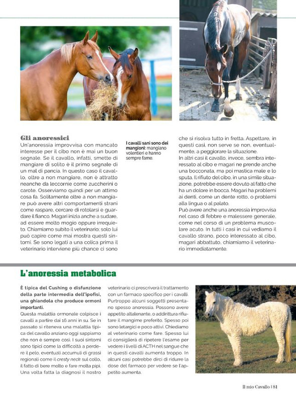 Il Mio Cav (Giu 2023) 12