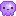 octopus purple