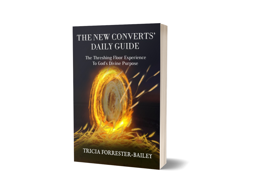 The New Converts’ Daily Guide (Pre – Order)