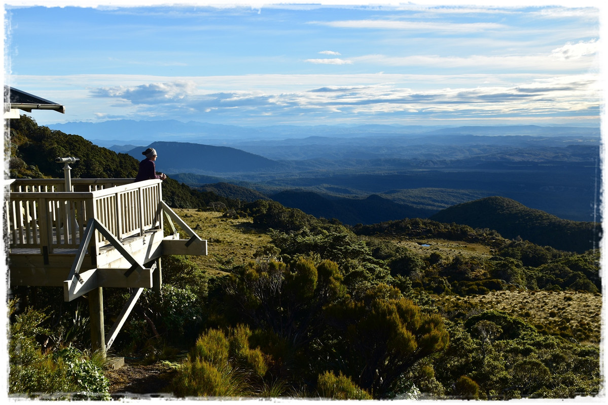 Escapadas y rutas por la Nueva Zelanda menos conocida - Blogs de Nueva Zelanda - Fiordland NP: Humpridge Track (febrero 2021) (37)