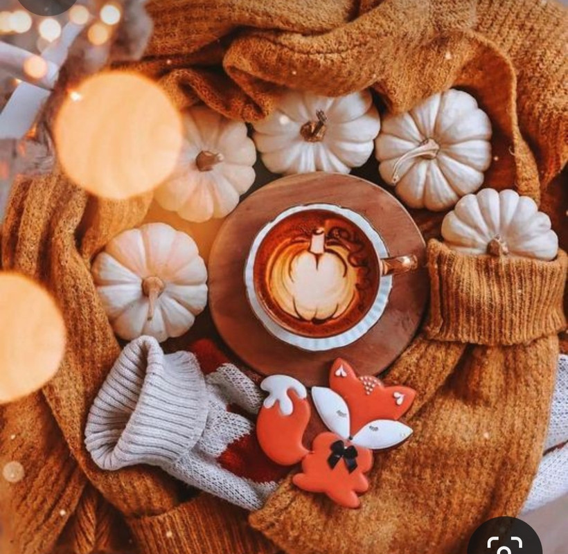 Screenshot_20230905_020148_Pinterest