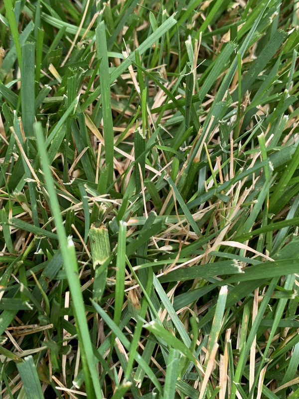 187616C8-87DD-48AE-8F98-3A511863F8C6