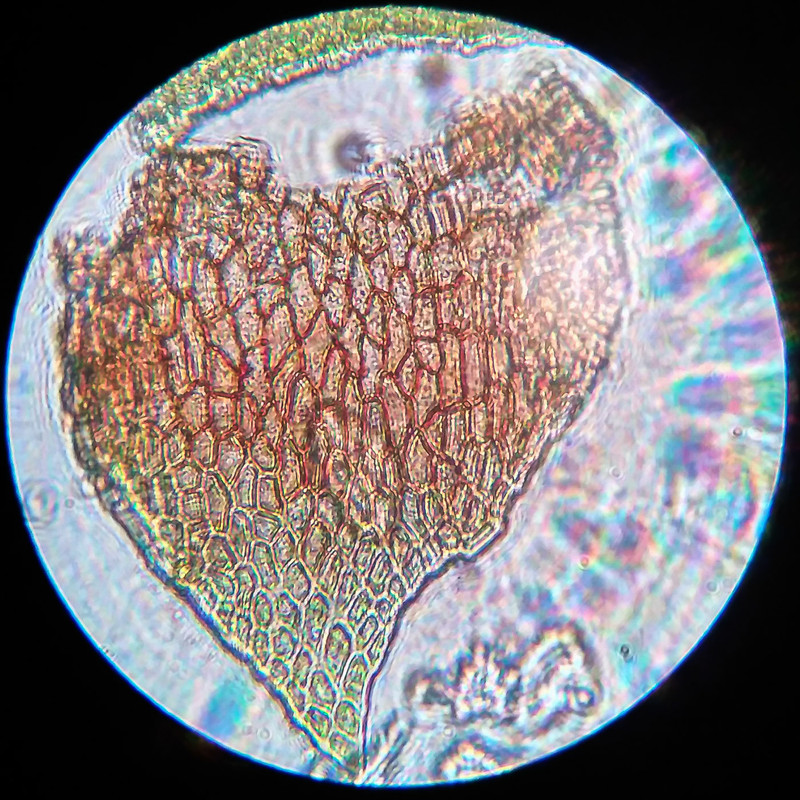 IMG 20250615 222515 HDR