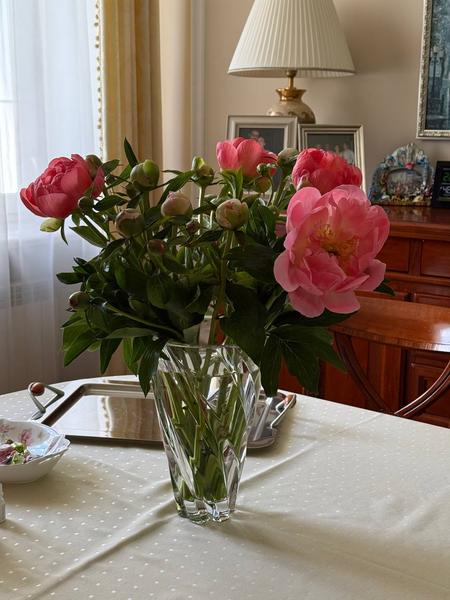 [Image: IMG-4087.jpg]