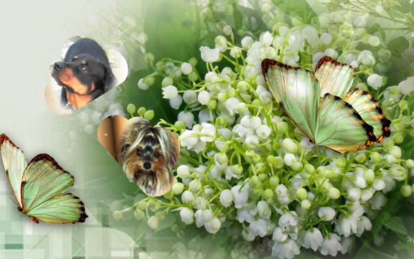 pixiz 30 04 2024 17 41 26