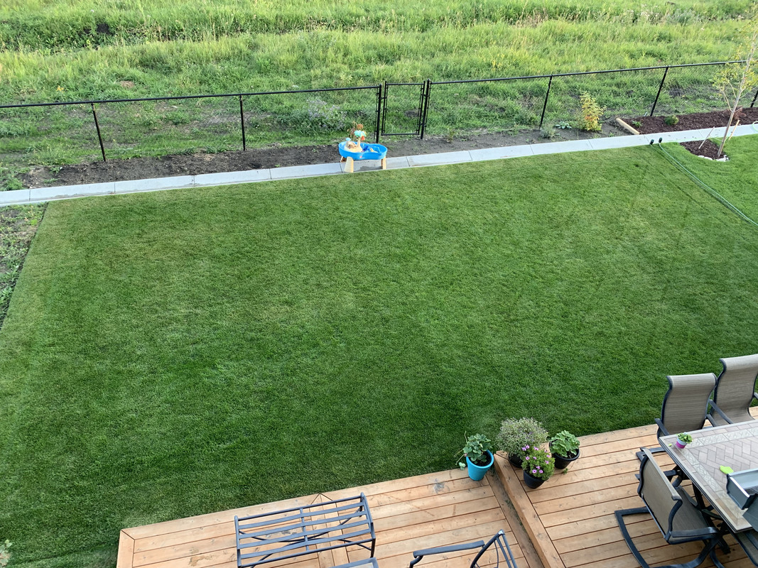 7E0D4508-8E99-449E-9912-28DE53FBA520