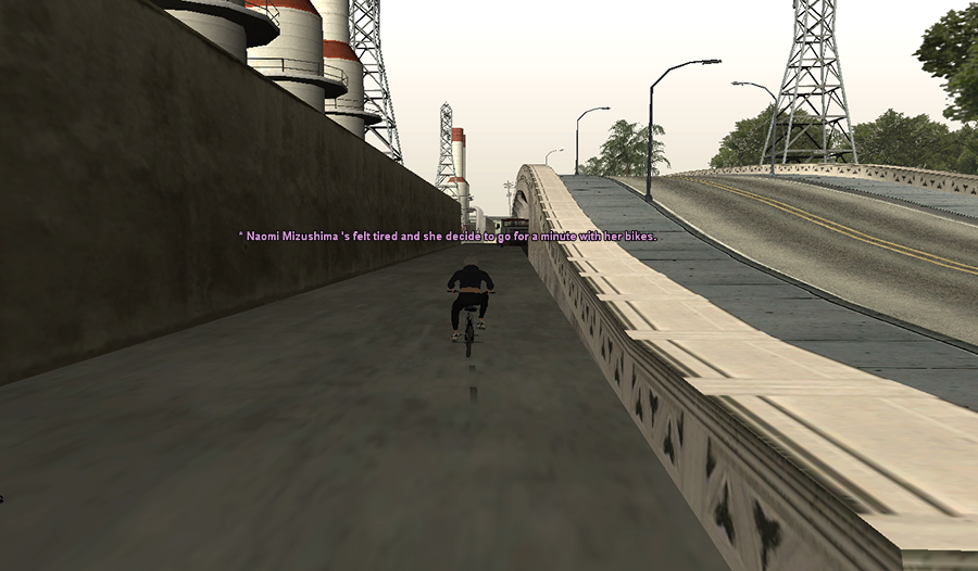 ssrp11.png